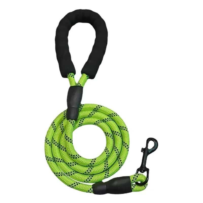 Pet Leash