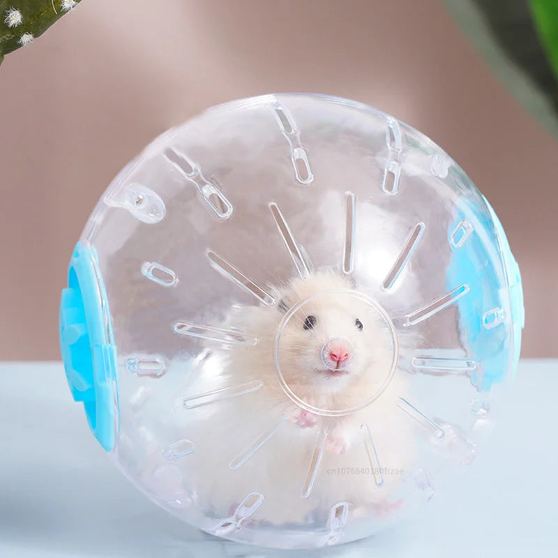 Bola de Exercício para Hamster