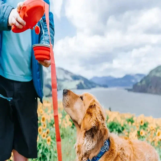 Trela retrátil para cachorro 4 em 1