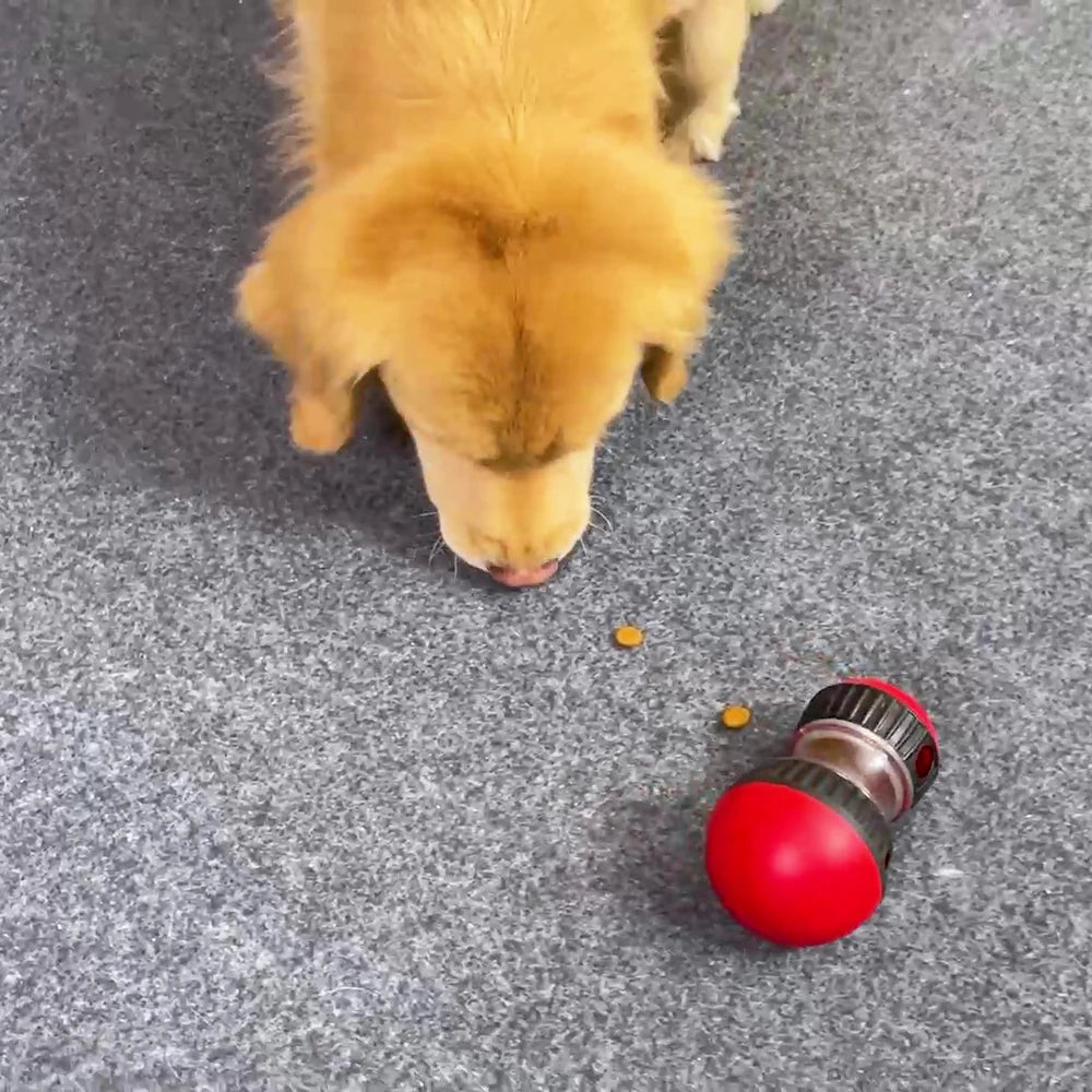 Brinquedo para Gatos e Cães pequenos, médios e grandes, alimentador lento