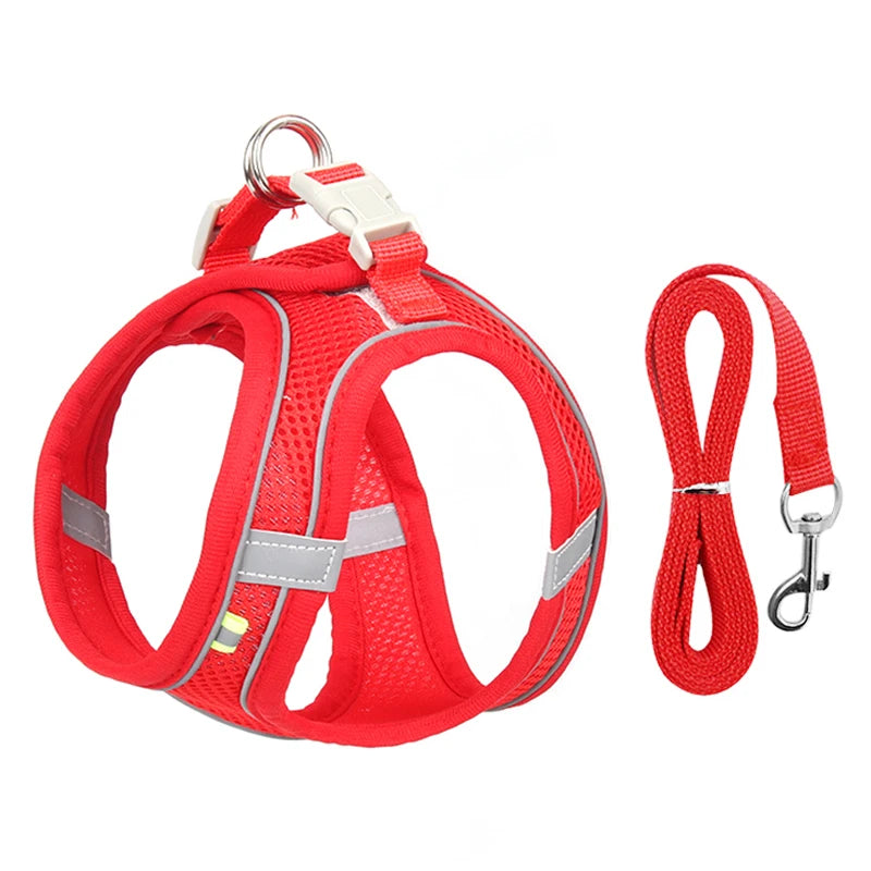 Conjunto de coleira para cães pequenos