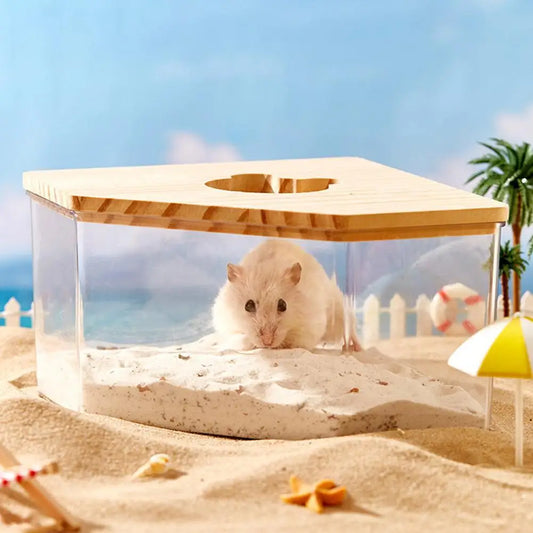 Caixa de Banho de Areia para Hamster e Chinchila