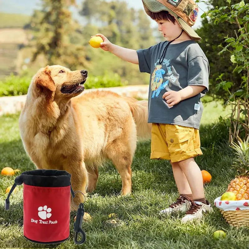 Bolsa de treinamento ou passeio para cães, dispensador de alimentos