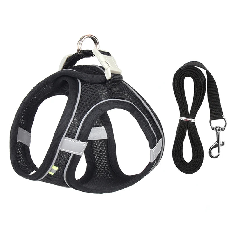 Conjunto de coleira para cães pequenos